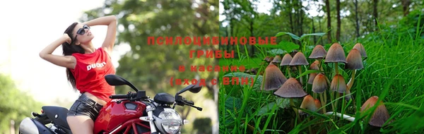 скорость Володарск